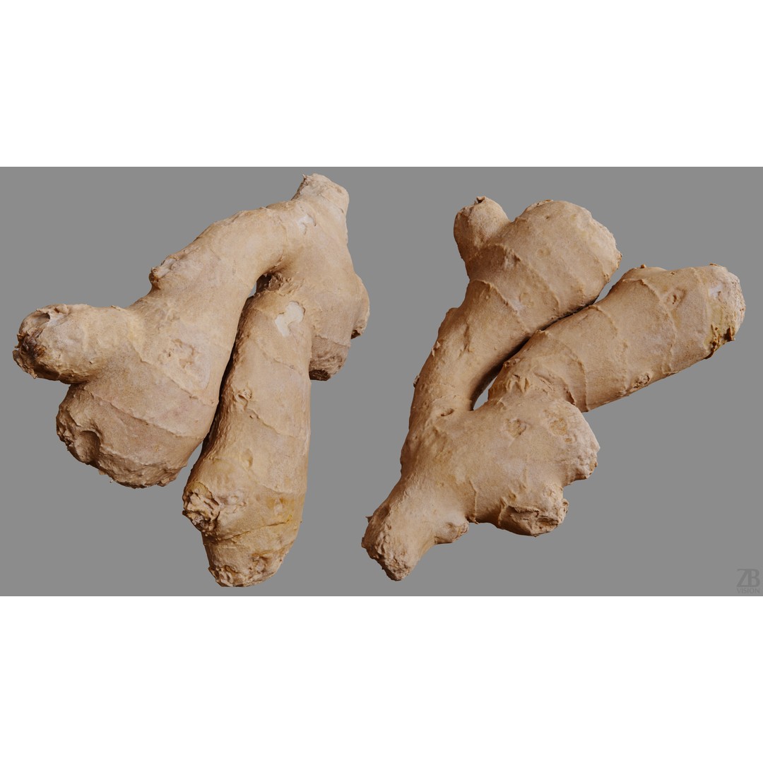 Ginger 3D Model – Photorealistic Asset with PBR Textures, OBJ, FBX