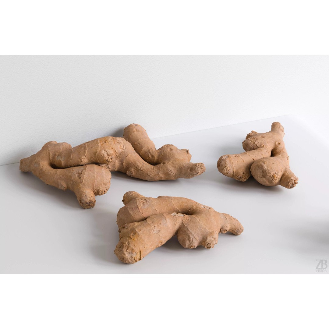 Ginger 3D Model – Photorealistic Asset with PBR Textures, OBJ, FBX - View 2