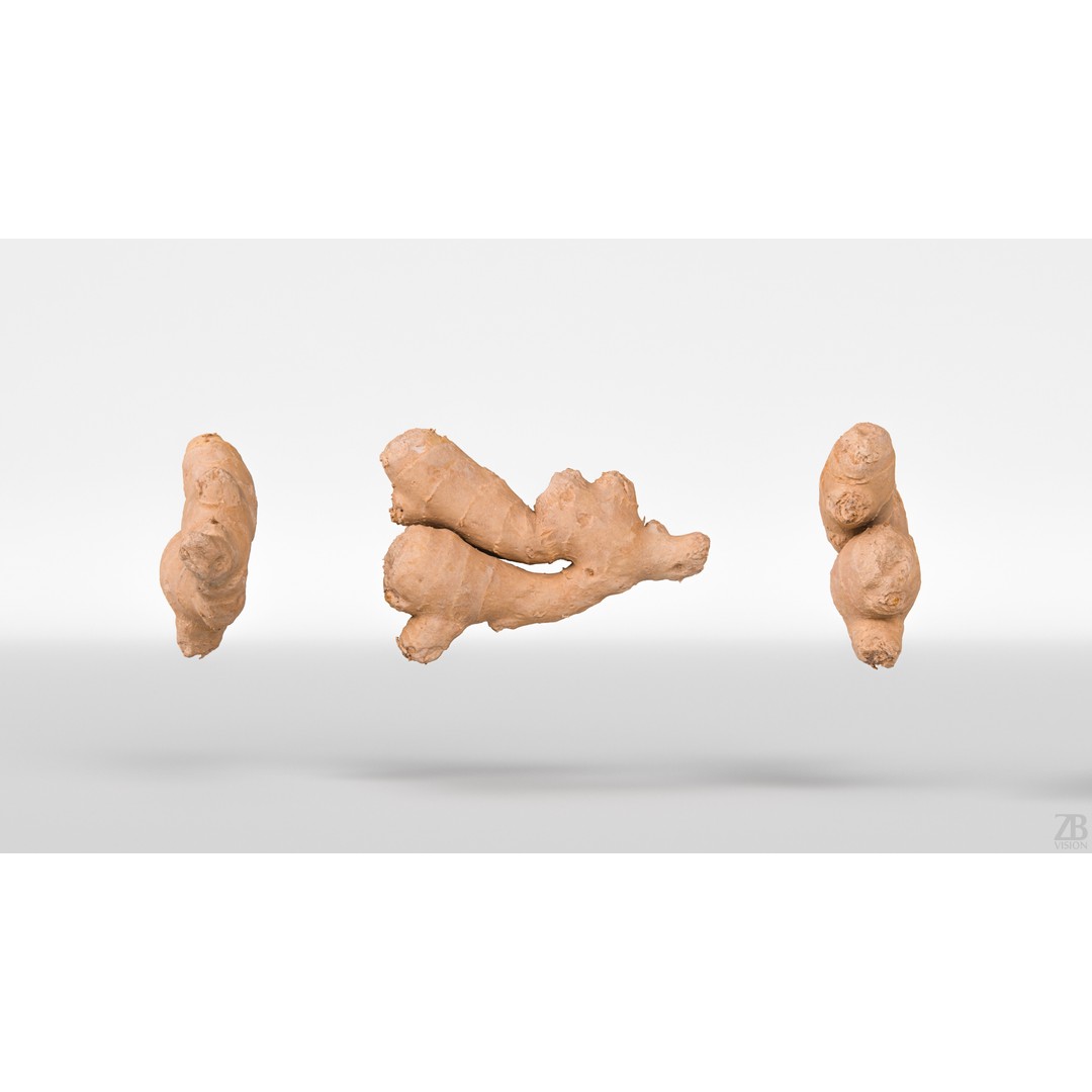 Ginger 3D Model – Photorealistic Asset with PBR Textures, OBJ, FBX - View 6