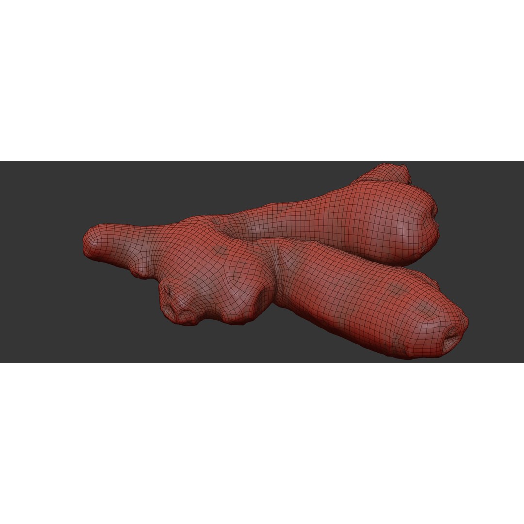 Ginger 3D Model – Photorealistic Asset with PBR Textures, OBJ, FBX - View 8