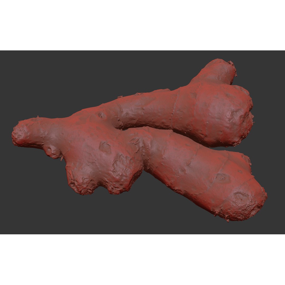 Ginger 3D Model – Photorealistic Asset with PBR Textures, OBJ, FBX - View 9