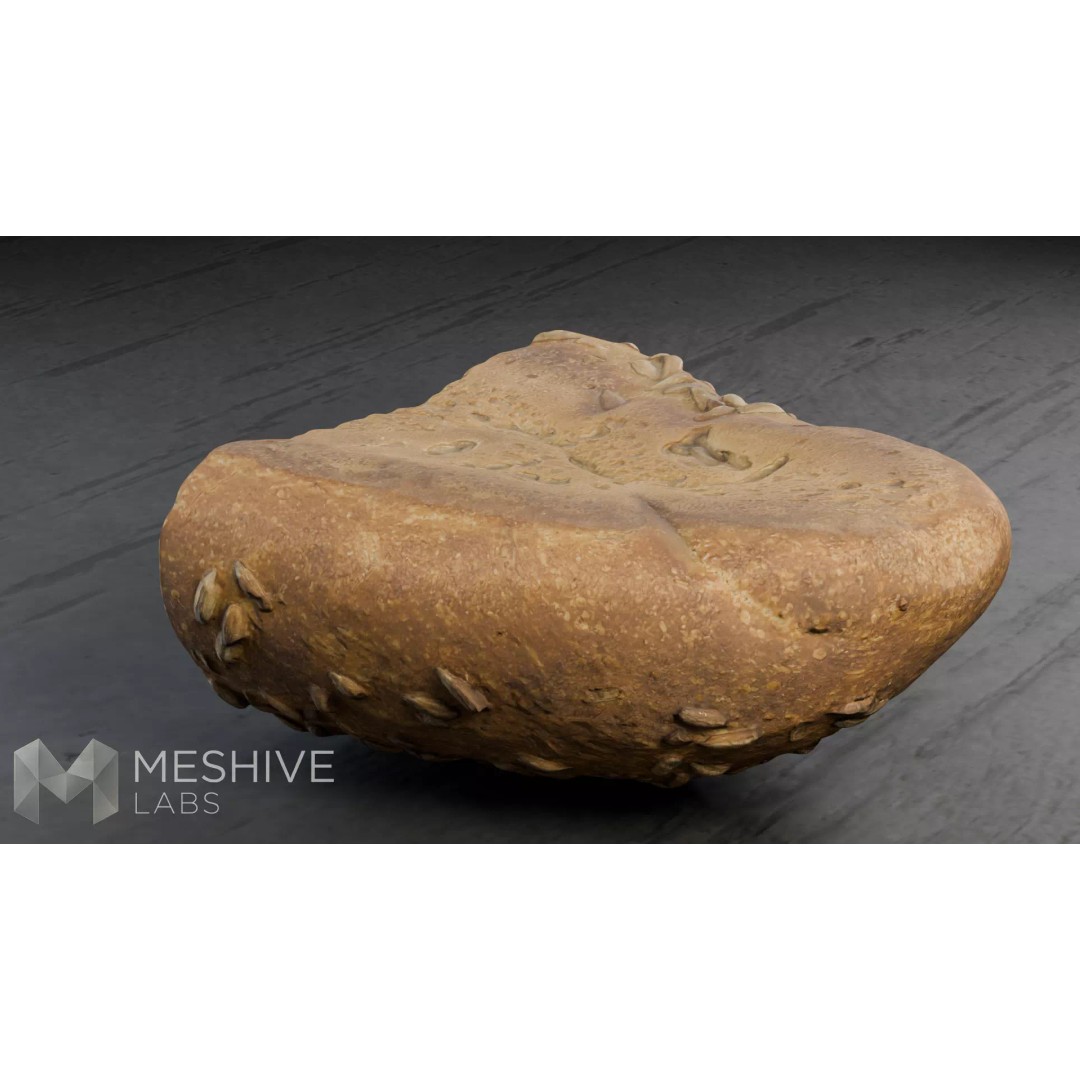 Artisan Half-Seeded Bread 3D Model – Low Poly PBR Game Asset, FBX, Blender - View 16
