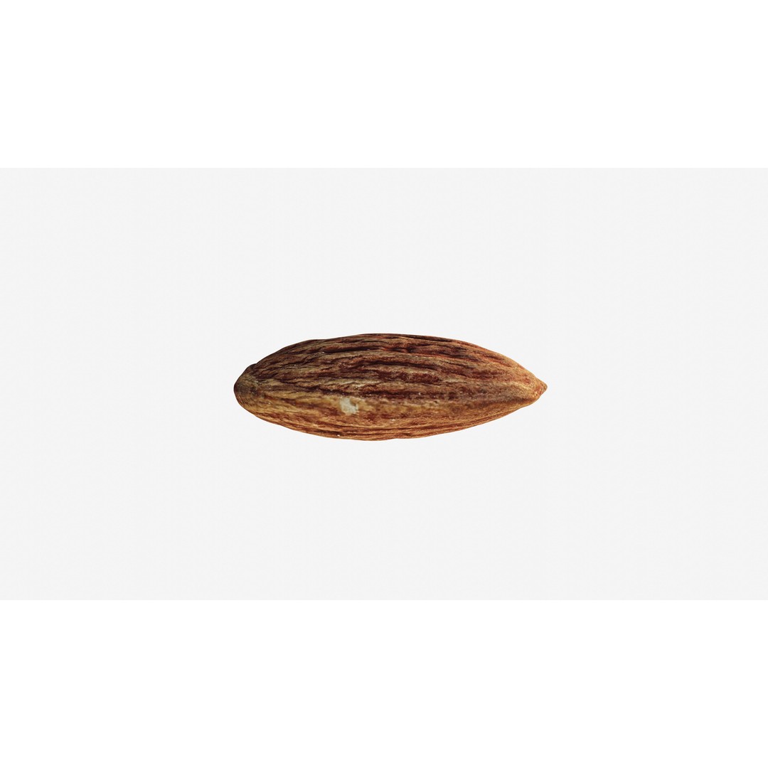 Almond Nut 3D Model – Low Poly Photogrammetry Asset, FBX - View 10