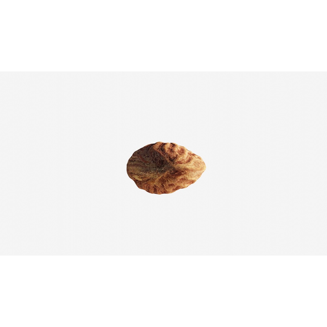 Almond Nut 3D Model – Low Poly Photogrammetry Asset, FBX - View 11