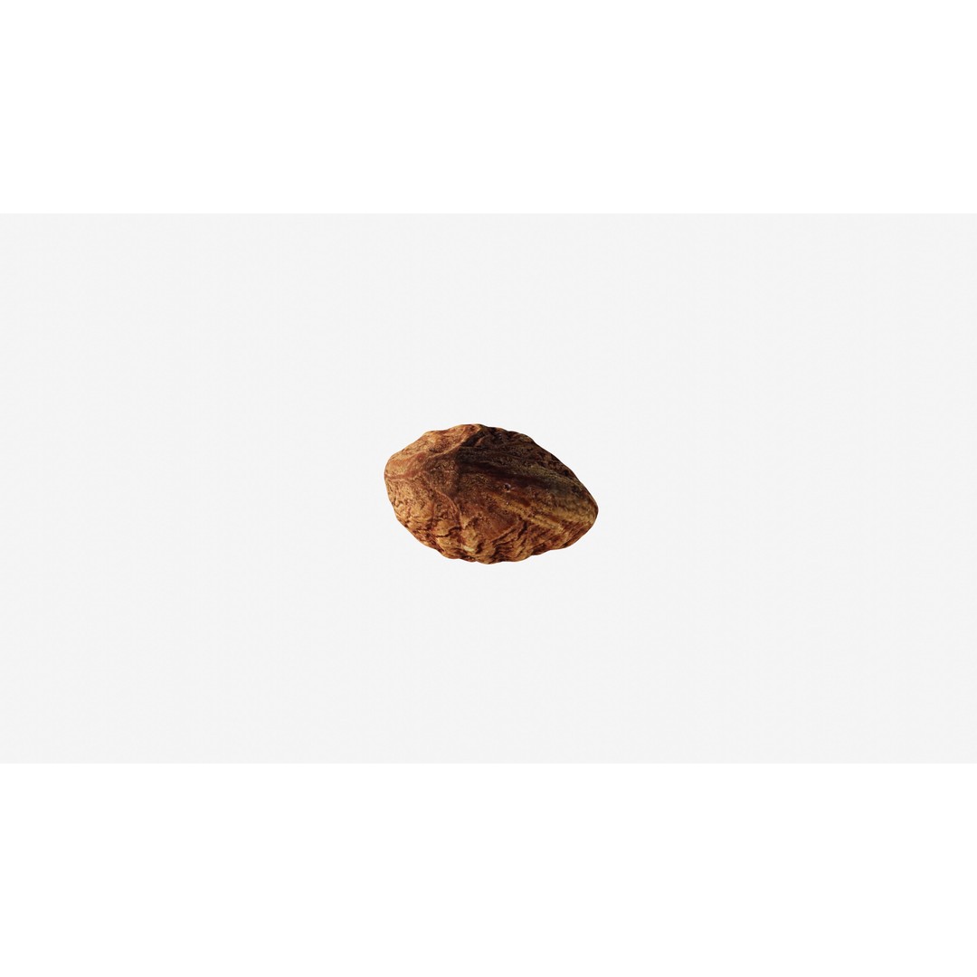 Almond Nut 3D Model – Low Poly Photogrammetry Asset, FBX - View 12