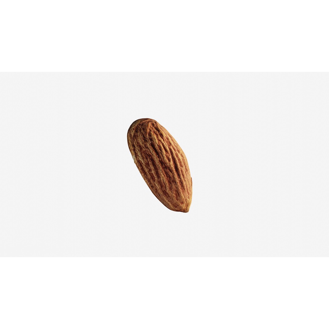 Almond Nut 3D Model – Low Poly Photogrammetry Asset, FBX - View 13