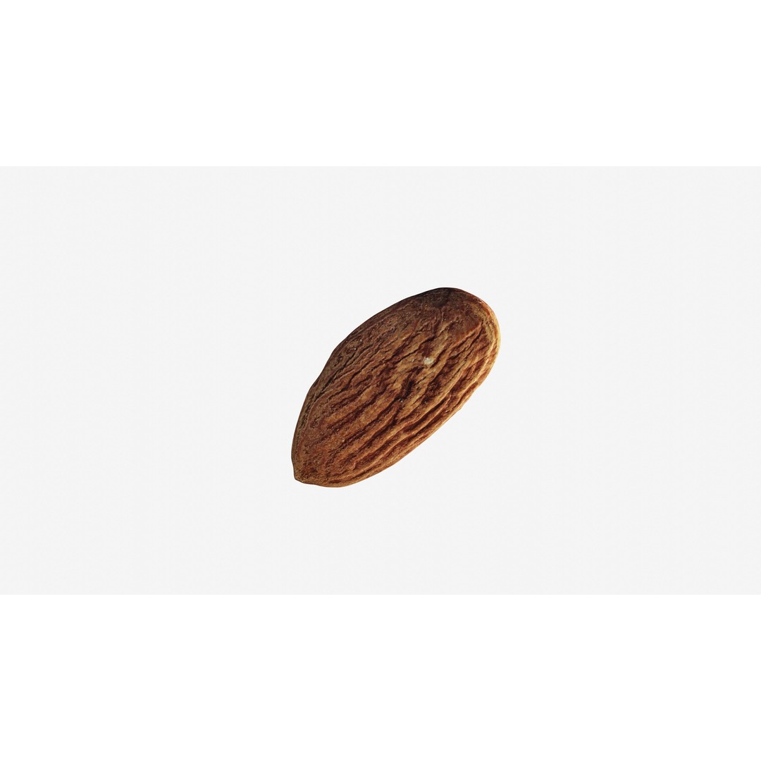 Almond Nut 3D Model – Low Poly Photogrammetry Asset, FBX - View 14