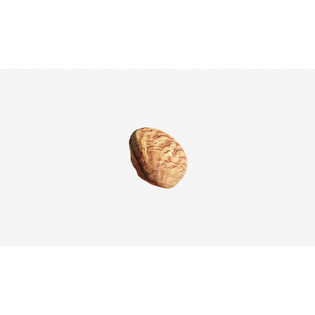Almond Nut 3D Model – Low Poly Photogrammetry Asset, FBX - View 15