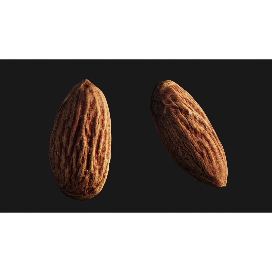 Almond Nut 3D Model – Low Poly Photogrammetry Asset, FBX - View 16