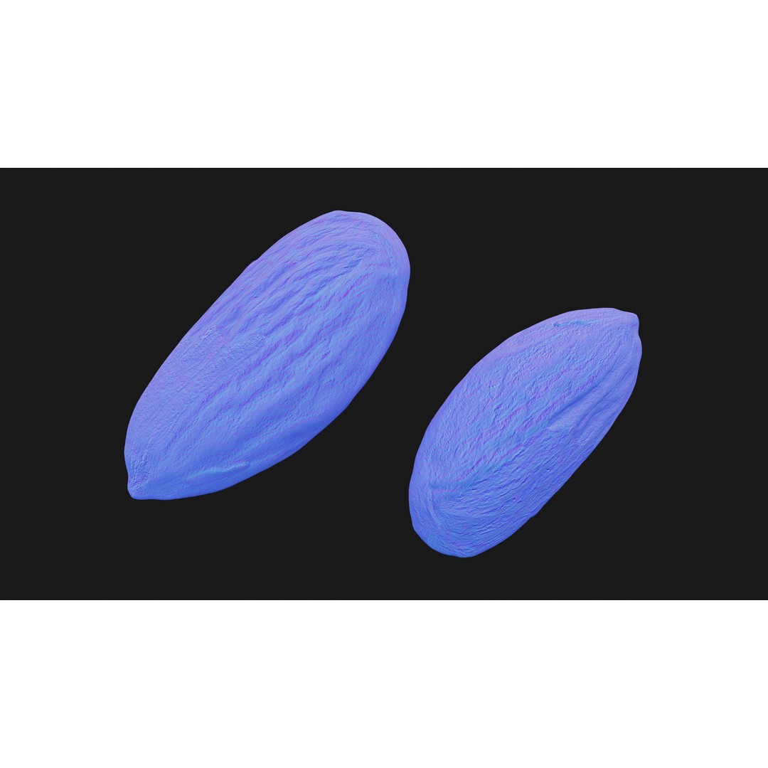 Almond Nut 3D Model – Low Poly Photogrammetry Asset, FBX - View 17