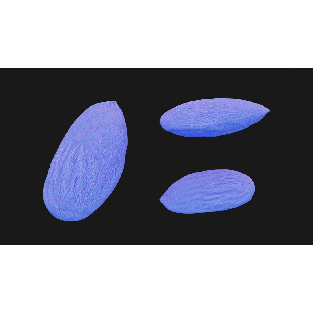 Almond Nut 3D Model – Low Poly Photogrammetry Asset, FBX - View 18