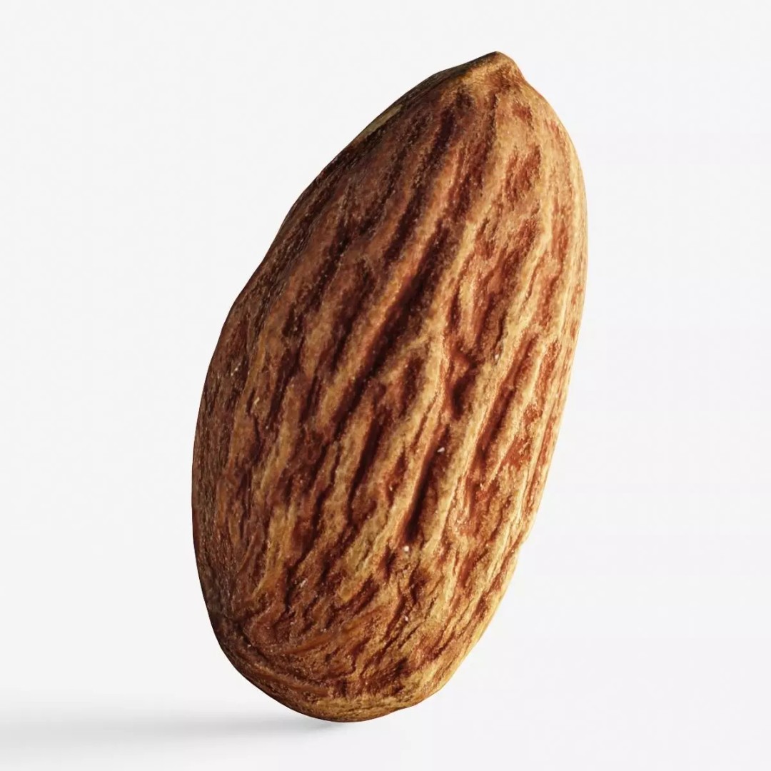 Almond Nut 3D Model – Low Poly Photogrammetry Asset, FBX - View 2