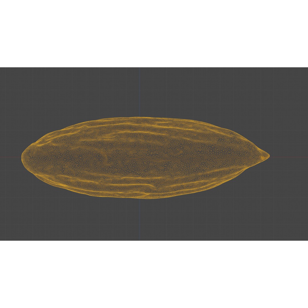 Almond Nut 3D Model – Low Poly Photogrammetry Asset, FBX - View 22