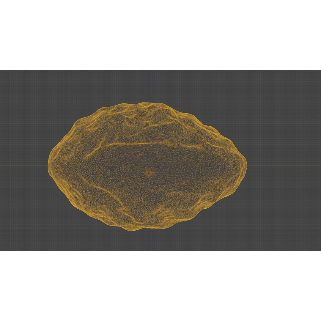 Almond Nut 3D Model – Low Poly Photogrammetry Asset, FBX - View 23