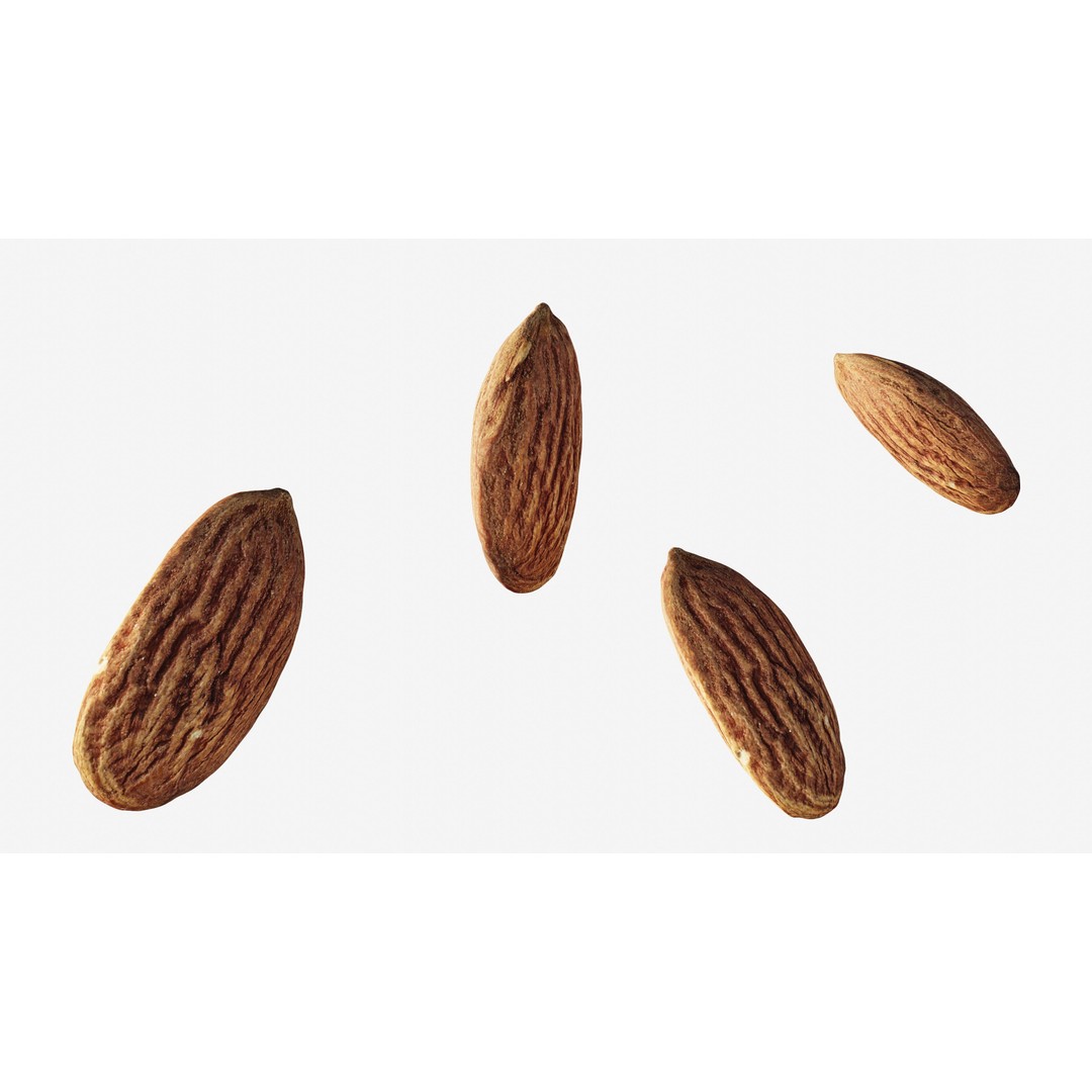 Almond Nut 3D Model – Low Poly Photogrammetry Asset, FBX - View 3