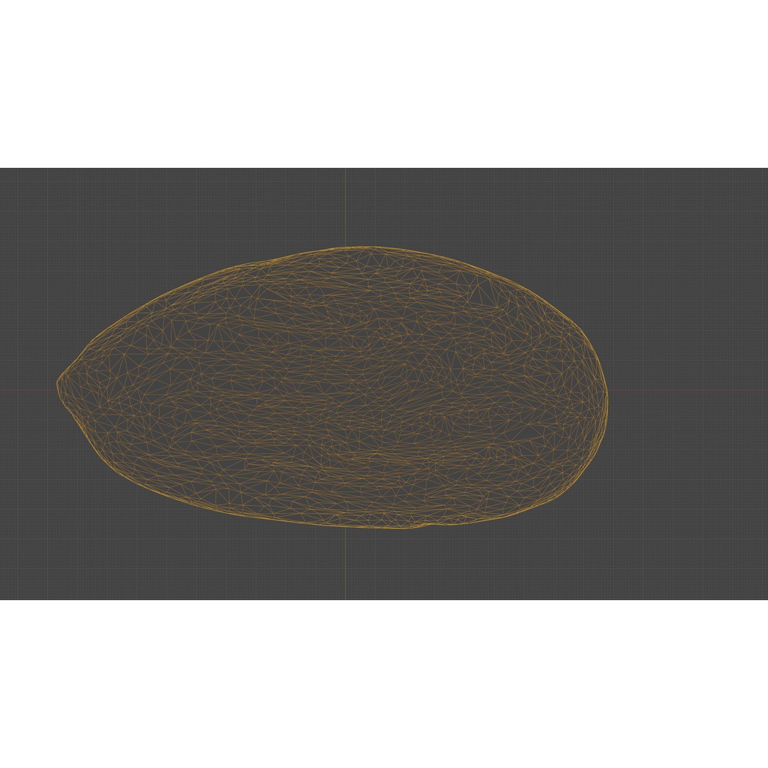 Almond Nut 3D Model – Low Poly Photogrammetry Asset, FBX - View 32