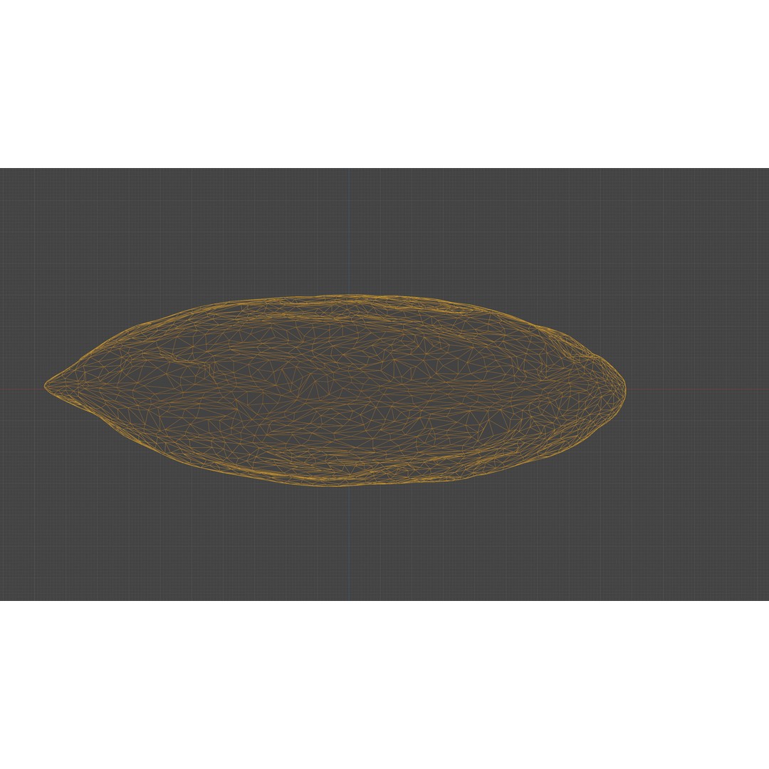 Almond Nut 3D Model – Low Poly Photogrammetry Asset, FBX - View 33