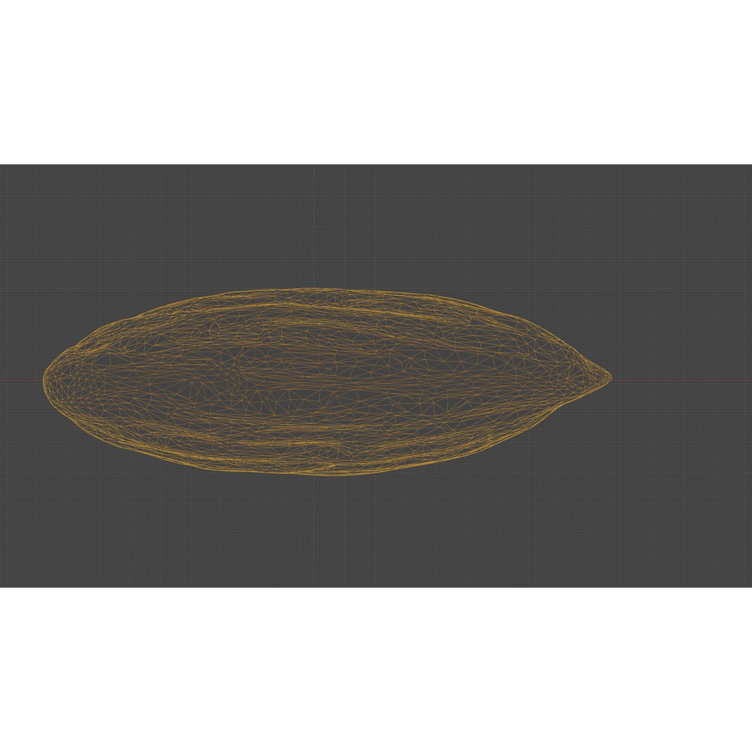 Almond Nut 3D Model – Low Poly Photogrammetry Asset, FBX - View 34
