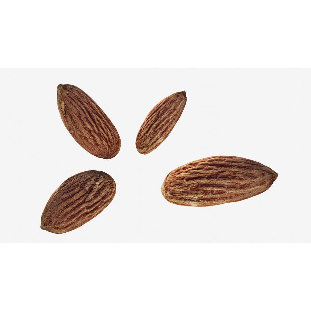Almond Nut 3D Model – Low Poly Photogrammetry Asset, FBX - View 4