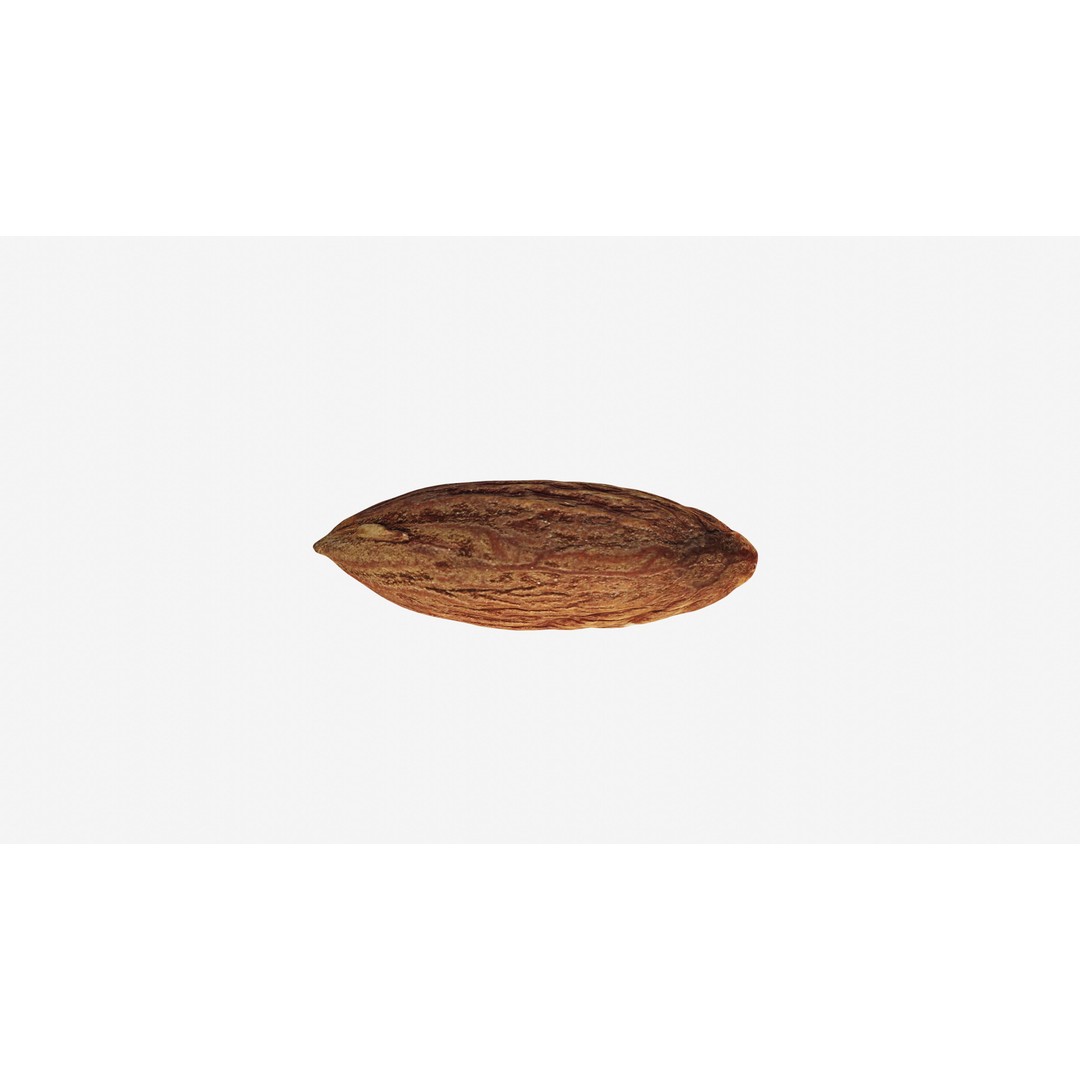 Almond Nut 3D Model – Low Poly Photogrammetry Asset, FBX - View 5