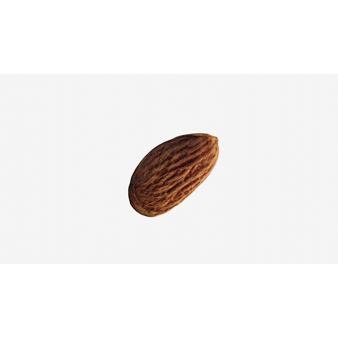 Almond Nut 3D Model – Low Poly Photogrammetry Asset, FBX - View 7