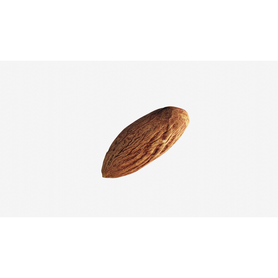 Almond Nut 3D Model – Low Poly Photogrammetry Asset, FBX - View 9