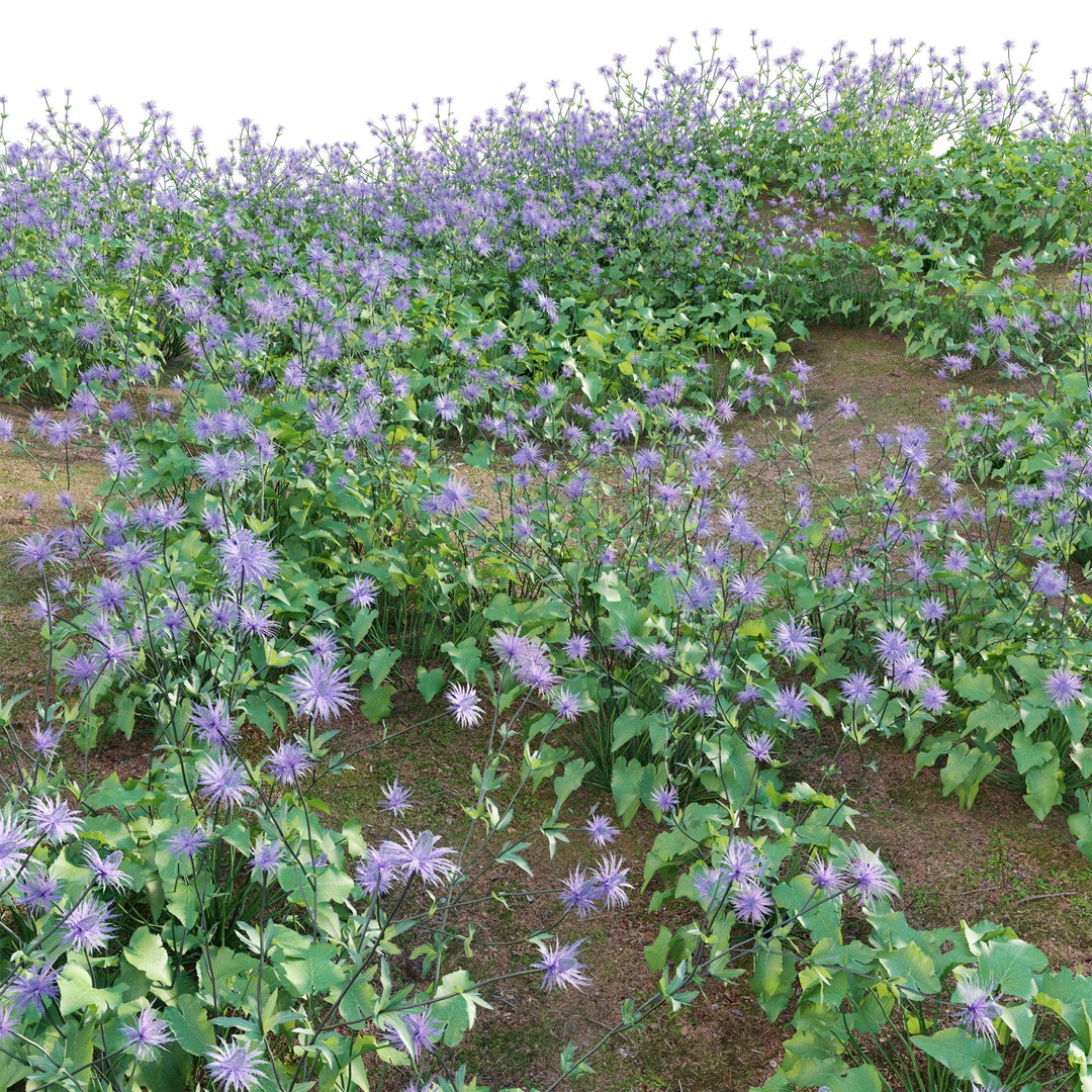Eryngium Alpinum 3D Model – Realistic PBR Plant Asset, FBX - View 5