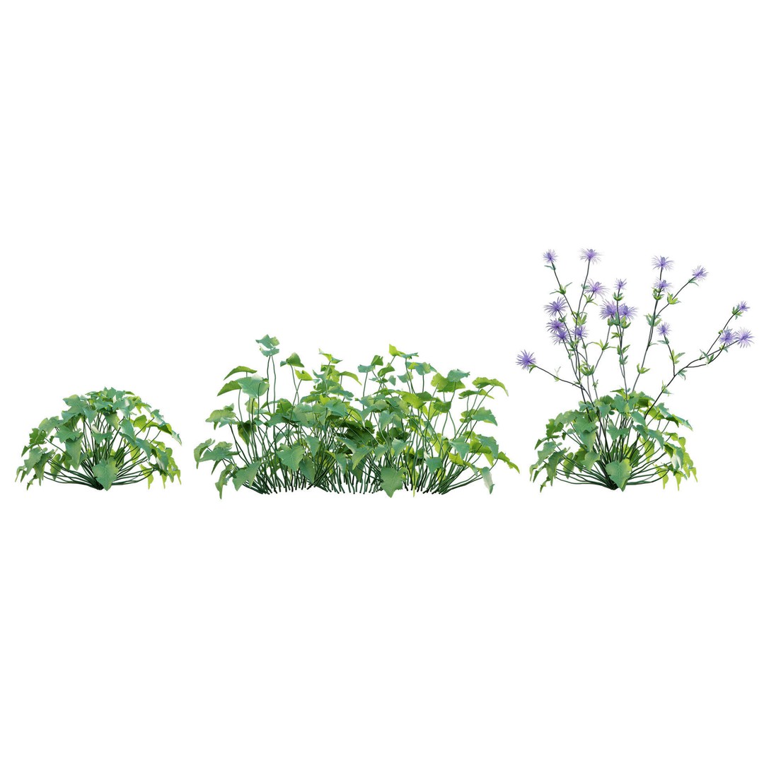 Eryngium Alpinum 3D Model – Realistic PBR Plant Asset, FBX - View 8