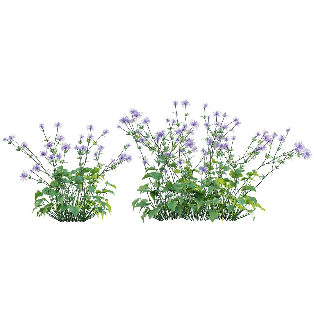 Eryngium Alpinum 3D Model – Realistic PBR Plant Asset, FBX - View 9
