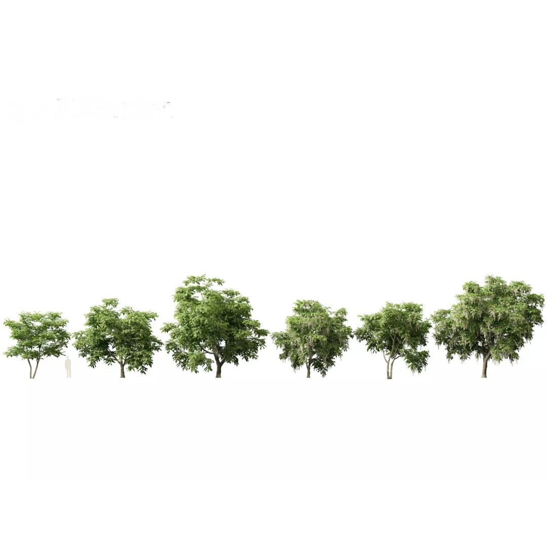 North American Garden Plants 3D Model – High Poly PBR Asset, FBX, Blender - View 11