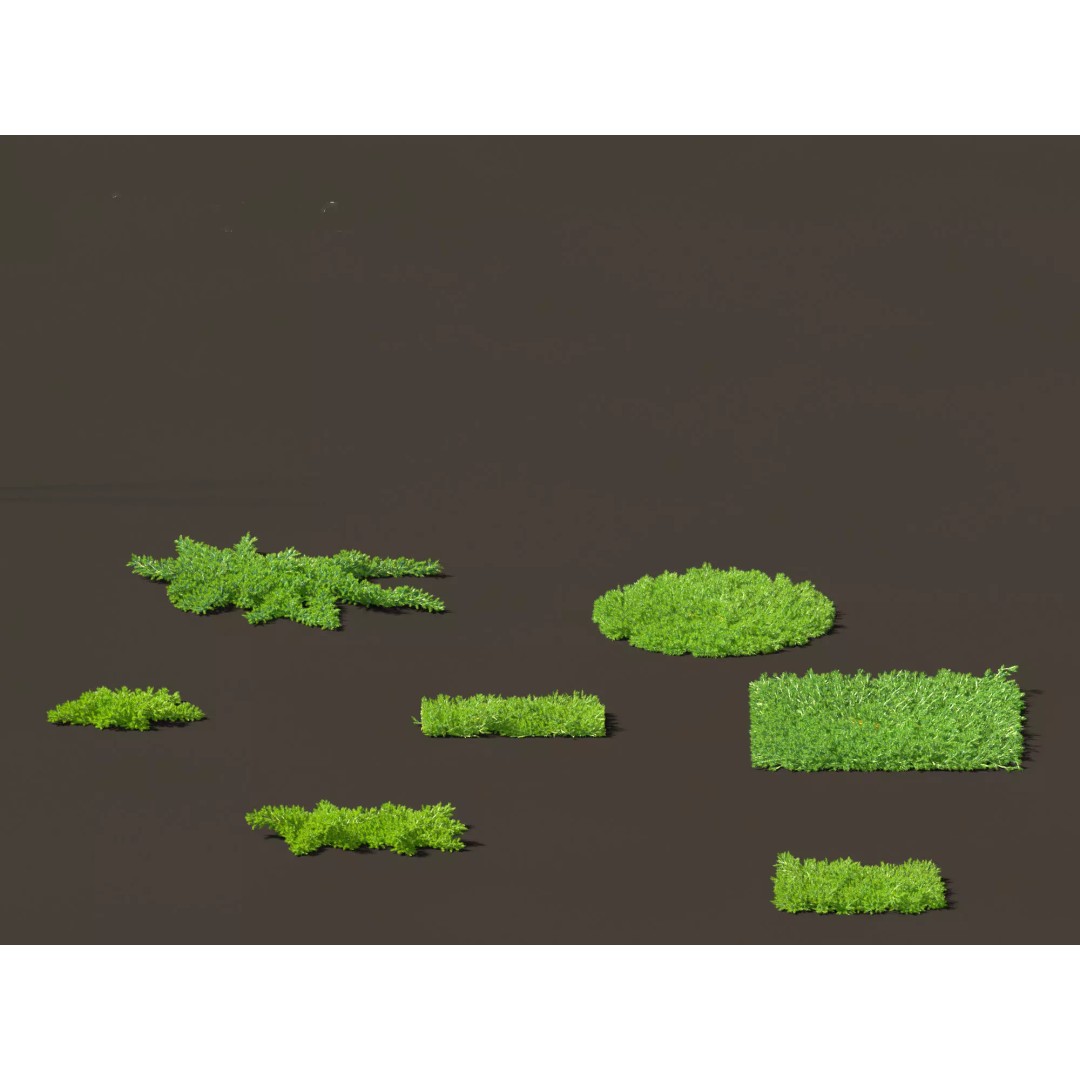 North American Garden Plants 3D Model – High Poly PBR Asset, FBX, Blender - View 13