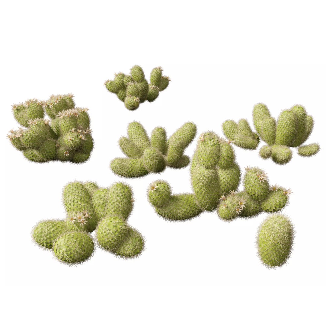 North American Garden Plants 3D Model – High Poly PBR Asset, FBX, Blender - View 18