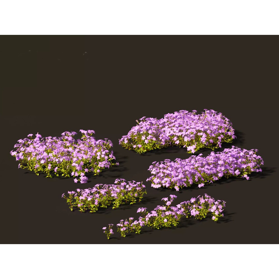 North American Garden Plants 3D Model – High Poly PBR Asset, FBX, Blender - View 19