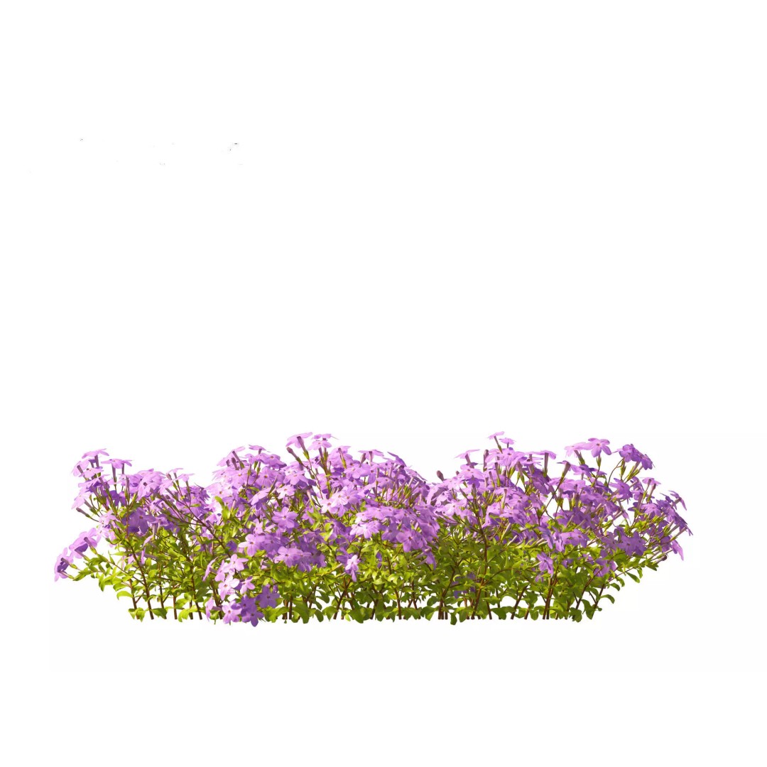 North American Garden Plants 3D Model – High Poly PBR Asset, FBX, Blender - View 20