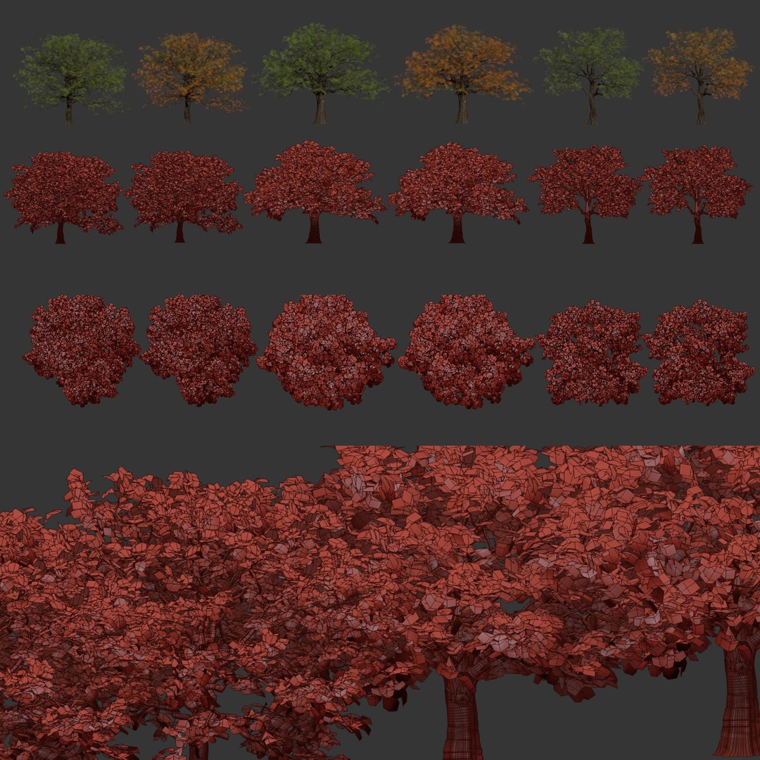 Low Poly Oak Tree 3D Model – Seasonal Variants, PBR Textures, Blender