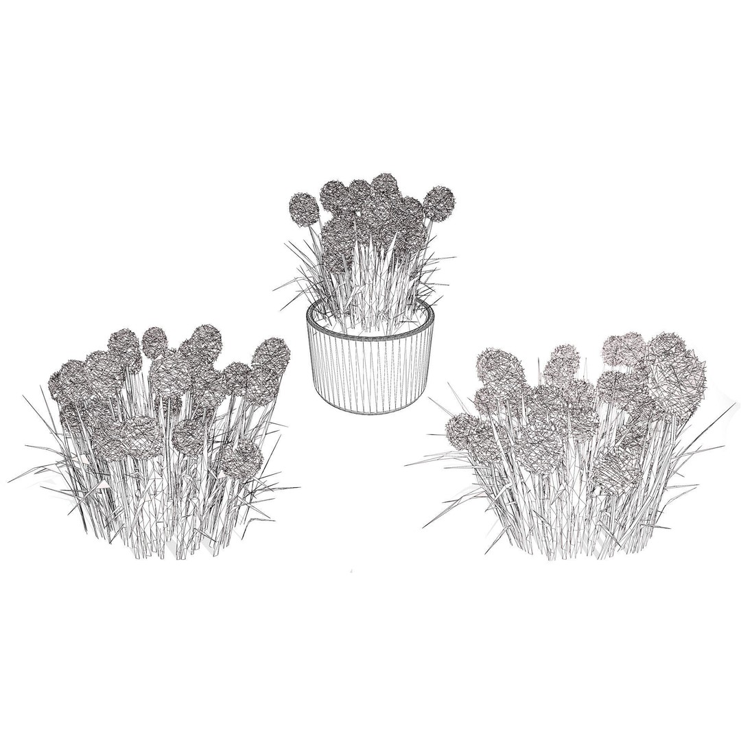 Craspedia Globosa 3D Model – Low Poly Game Asset, PBR Textures