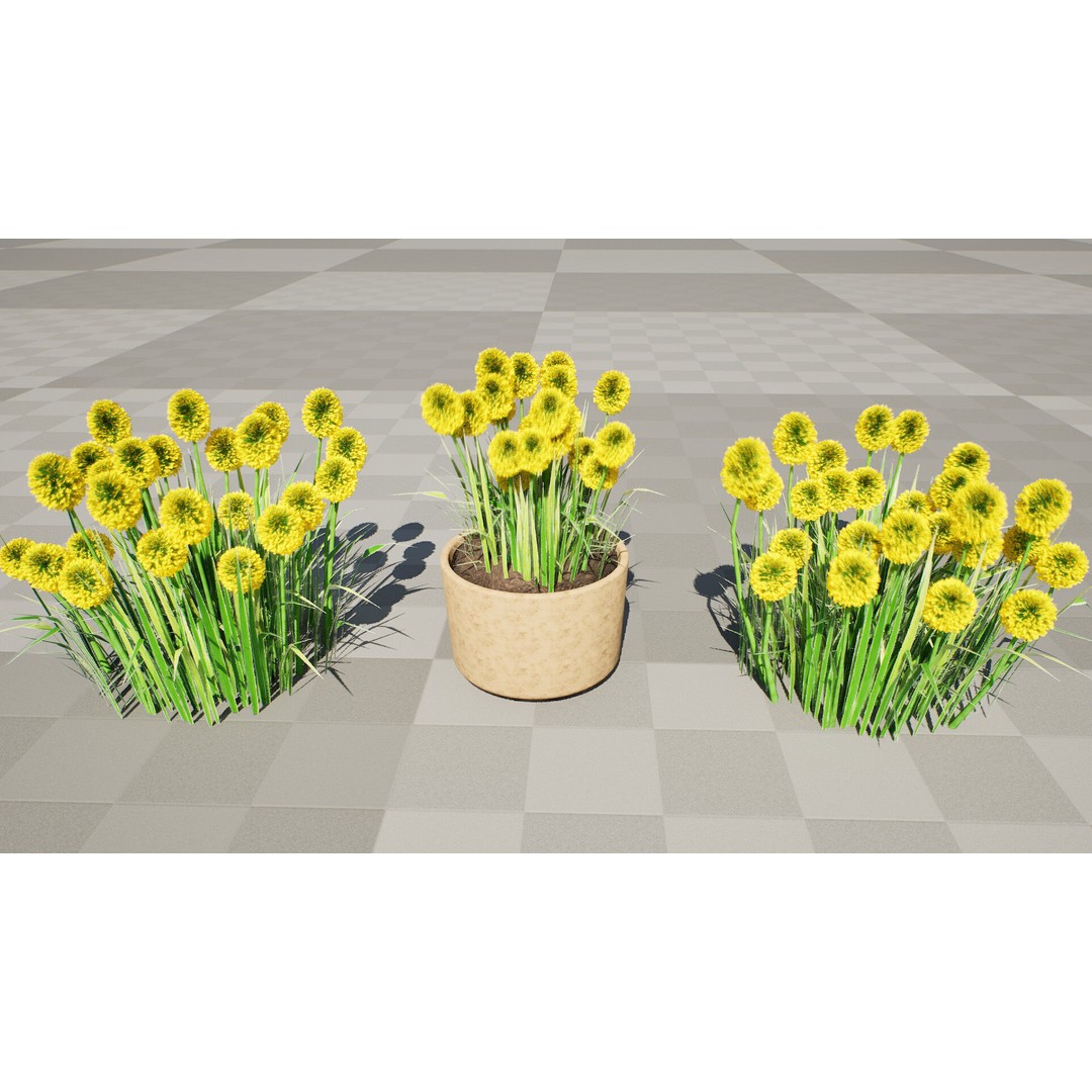 Craspedia Globosa 3D Model – Low Poly Game Asset, PBR Textures - View 9