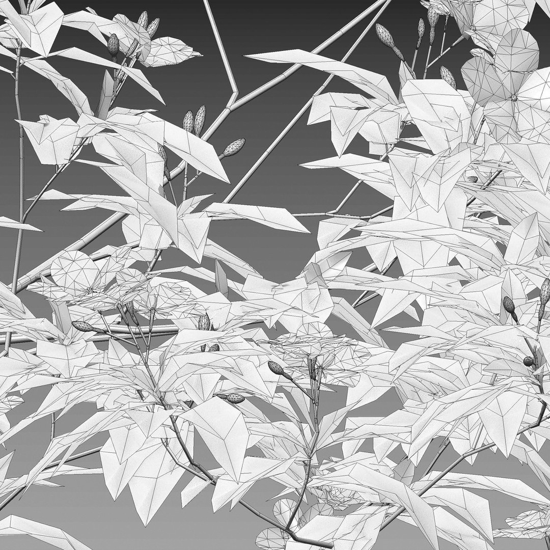 Tabernaemontana Dwarf 3D Model – Low Poly Plant Asset, FBX - View 6