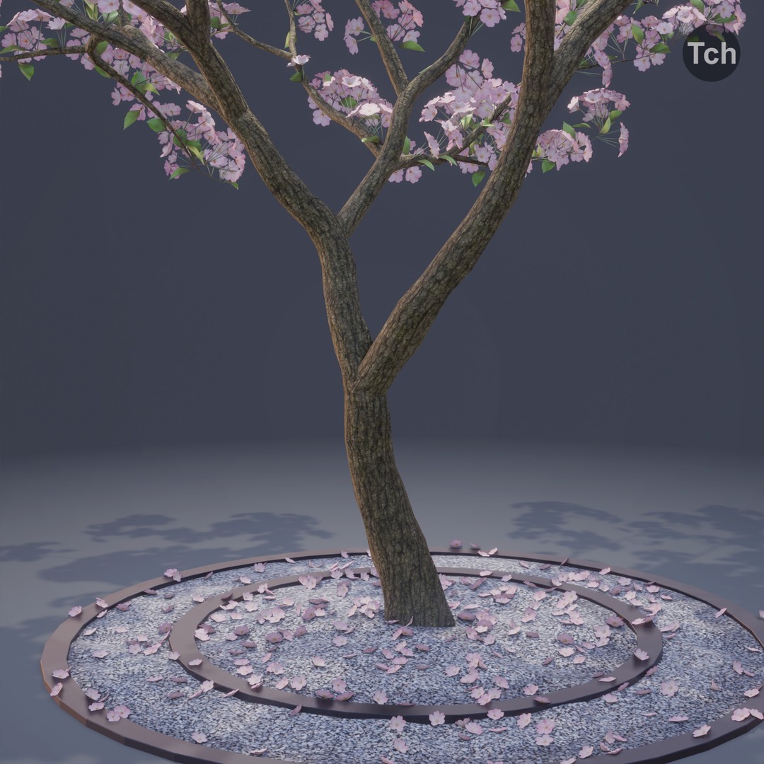 Spring Tree 3D Model – Detailed Blossom Asset with PBR Textures
