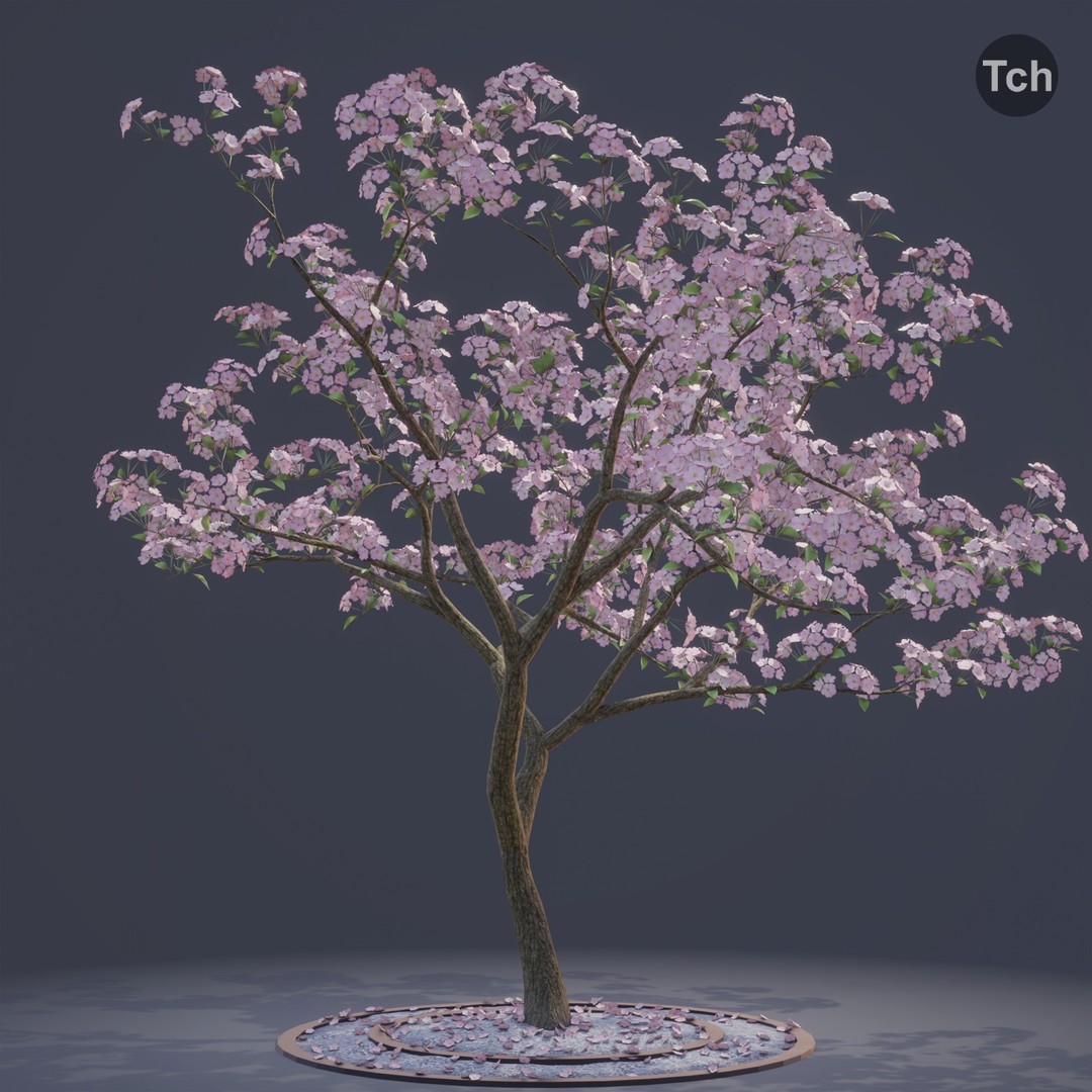Spring Tree 3D Model – Detailed Blossom Asset with PBR Textures - View 3