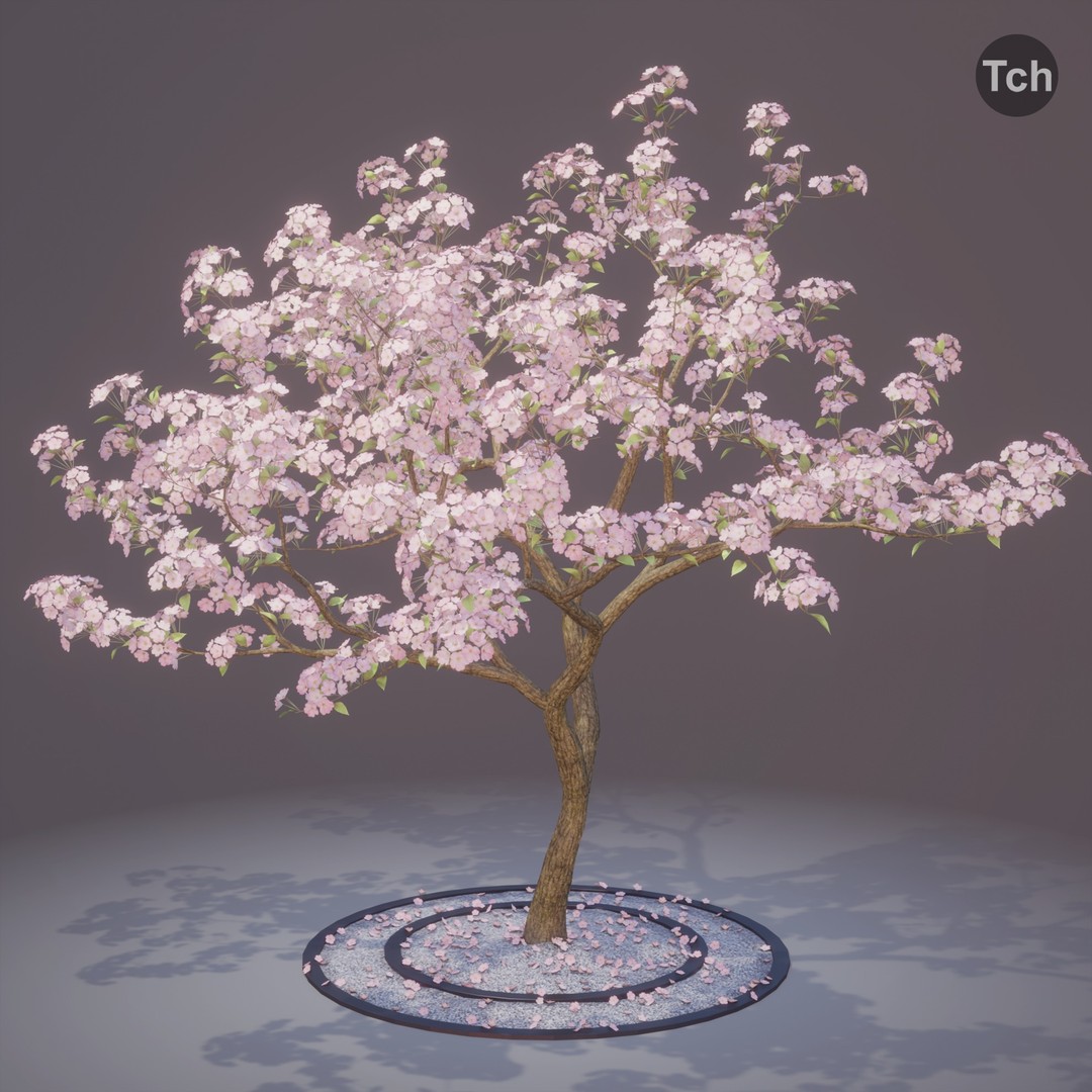 Spring Tree 3D Model – Detailed Blossom Asset with PBR Textures - View 4