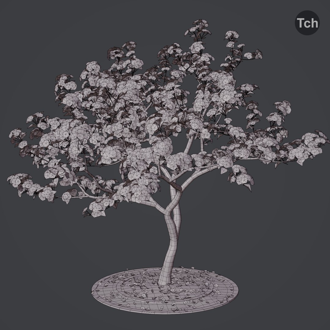 Spring Tree 3D Model – Detailed Blossom Asset with PBR Textures - View 5