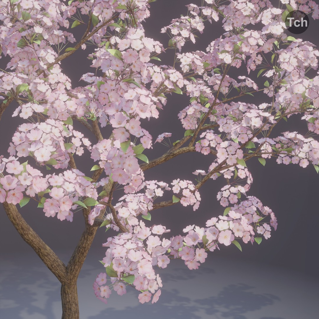 Spring Tree 3D Model – Detailed Blossom Asset with PBR Textures - View 6