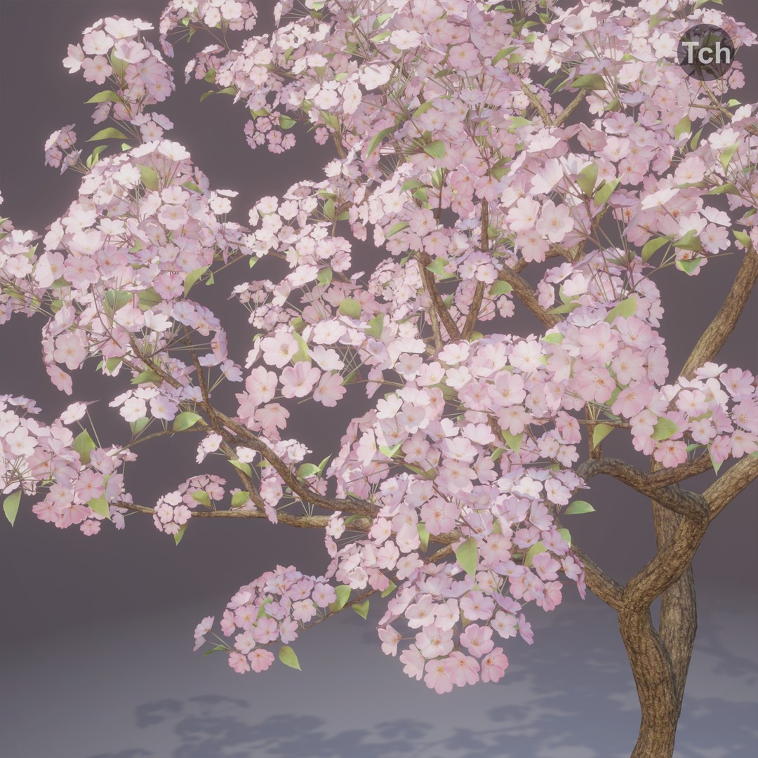 Spring Tree 3D Model – Detailed Blossom Asset with PBR Textures - View 7