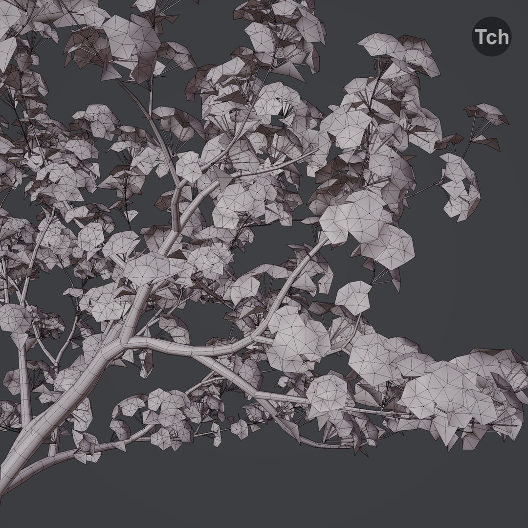 Spring Tree 3D Model – Detailed Blossom Asset with PBR Textures - View 9