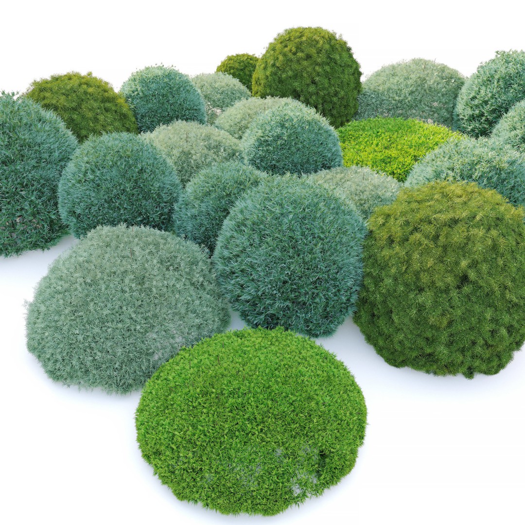 Topiary Shrubs 3D Model – Shaped Vegetation Set, PBR Textures - View 3