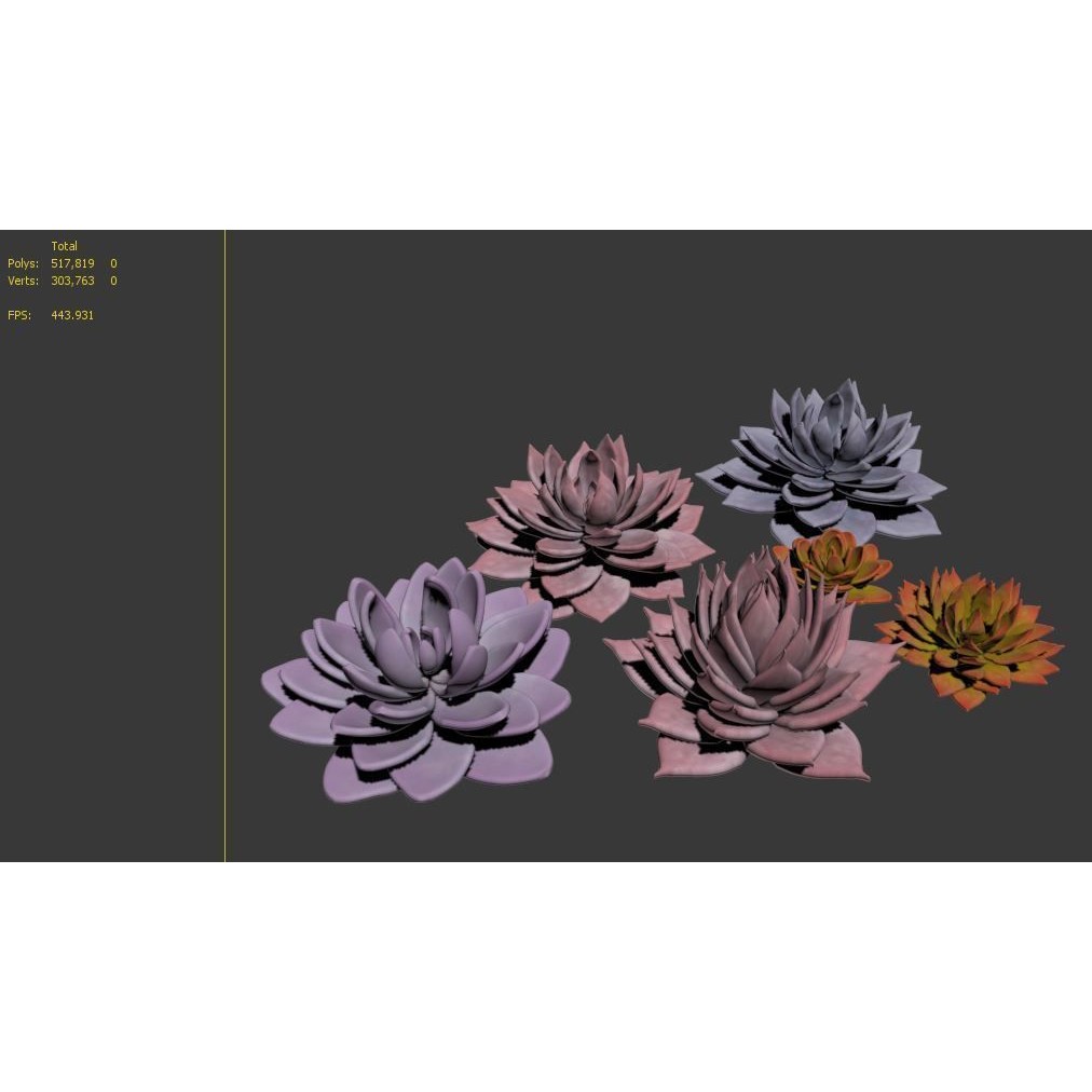 Echeveria Succulent 3D Model – PBR Textured Game Asset, FBX