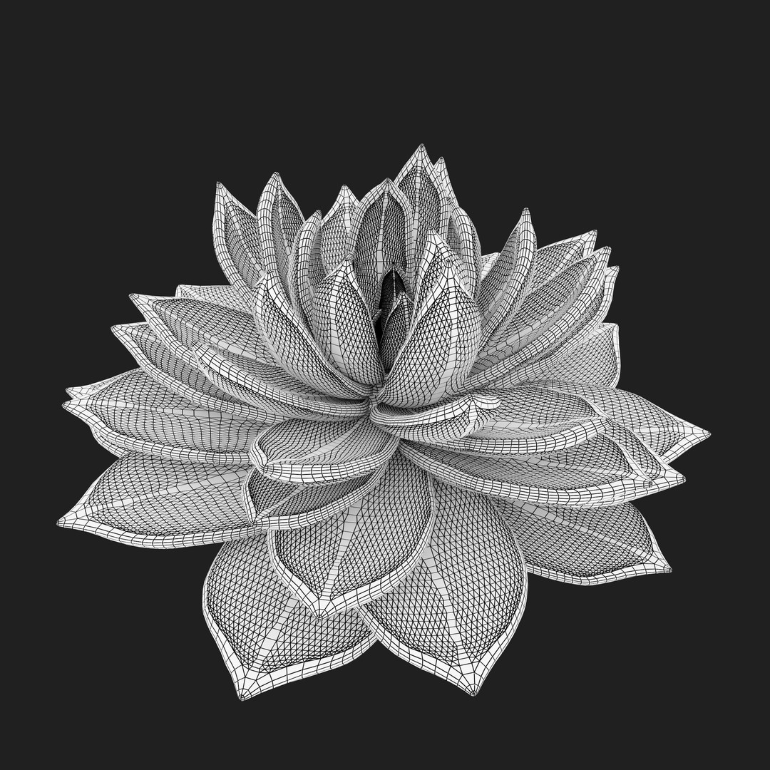 Echeveria Succulent 3D Model – PBR Textured Game Asset, FBX - View 10
