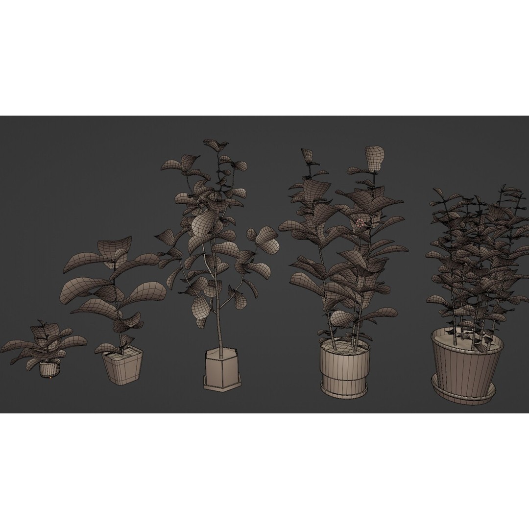 Ficus Lyrata 3D Model – Low Poly Plant with Decorative Pots, FBX/OBJ