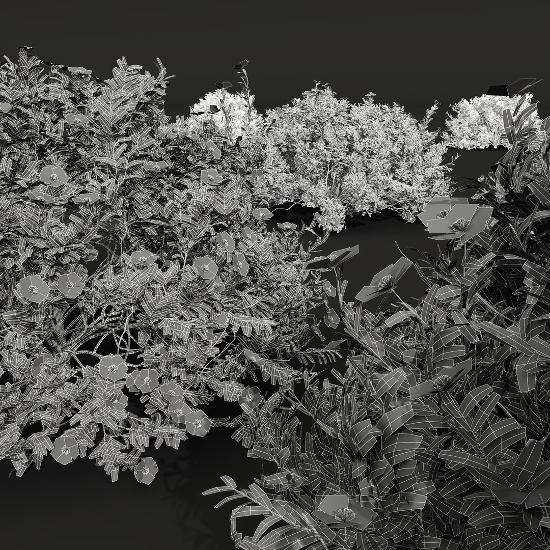 Cistus Flower White & Valentina Glauca 3D Model – High Poly PBR Asset - View 16